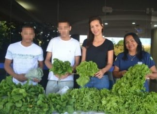 Adolescentes do Centro de Atendimento Socioeducativo comercializam hortaliças