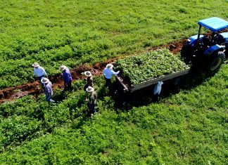 Campo Sustentável será apresentado em Seminário Estadual de Agricultura de Baixa Emissão de Carbono