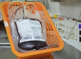 Doadores de Sangue são homenageados em todo o Estado