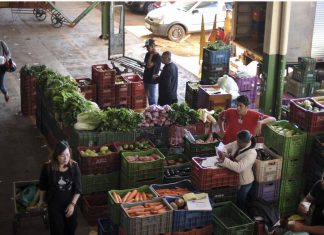 Ministério publica normas de qualidade para frutas e verduras