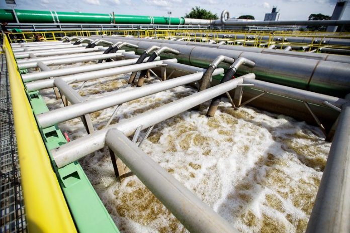 img20190607153518426-768x512