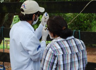 ADAPEC-TOCANTINS alerta sobre a importância da vacinação contra brucelose e riscos de transmissão da doença em animais e humanos