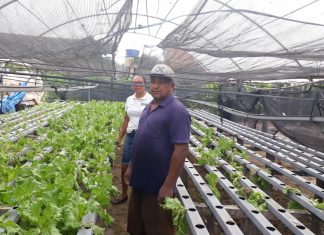Projeto Inovação no Campo garante renda e qualidade de vida a 100 famílias rurais no extremo norte do Estado