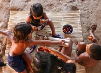 Governo atende mais de 30 aldeias indígenas no Tocantins com o Criança Feliz