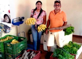 Produtores e entidades têm até 31 de janeiro para efetuar cadastro no Programa de Aquisição de Alimentos