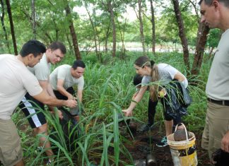 Polícia Militar realiza mutirão contra o Aedes Aegypti em todo Estado