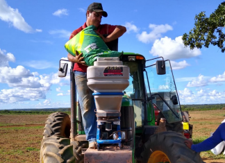 Ruraltins dá início ao plantio da primeira Unidade Demonstrativa de Arroz consorciado ao capim