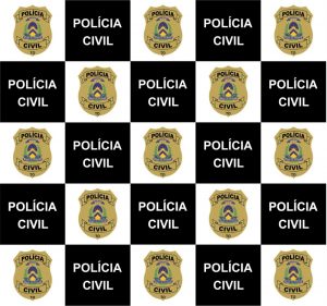 PolC3ADcia-Civil-300x281