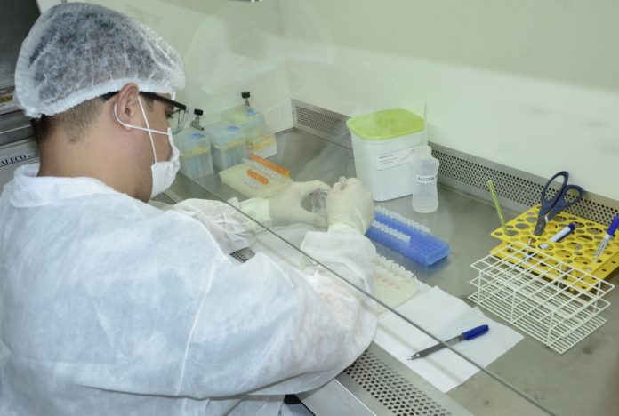 Exames-Covid-19-Lacen-Nielcem-Fernandes-10