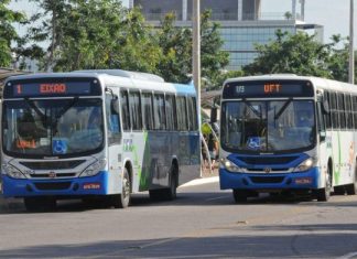 STF suspende liminar do TJ-TO e transporte coletivo de Palmas volta a circular com 50% de sua capacidade total