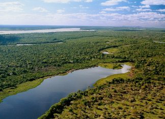 Semana do Meio Ambiente terá vasta programação na Capital a partir desta segunda, 1º