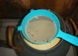 Adapec realiza operação de combate ao comércio clandestino de produtos lácteos em Augustinópolis