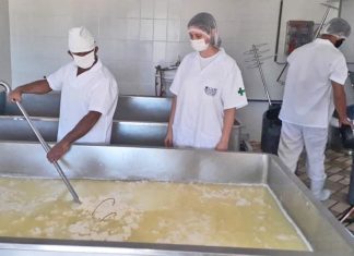 Tocantins celebra crescimento da agroindústria no primeiro semestre