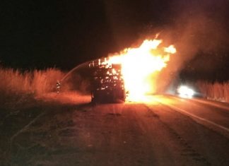 Bombeiros militares atuam em combate a incêndio em carga de madeira na BR-153