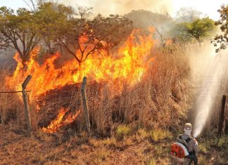 Atuação de bombeiros militares impede avanço de incêndio florestal na região sul de Palmas
