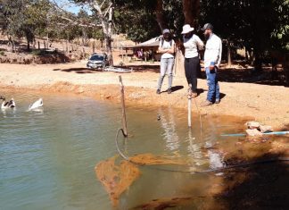 Assistência Técnica fornecida pela Prefeitura de Palmas leva orientações para produtores interessados no cultivo de peixes