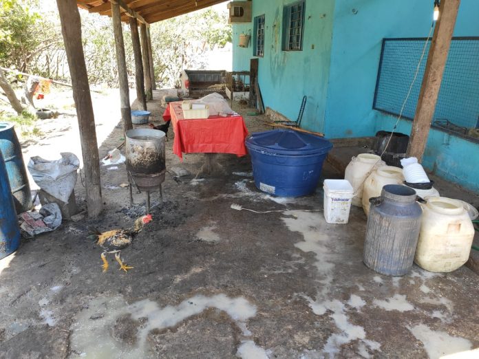 Queijaria clandestina é interditada no norte do Tocantins