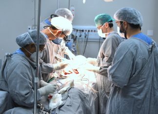 Seis pessoas serão beneficiadas com a captação de múltiplos órgãos no HGP