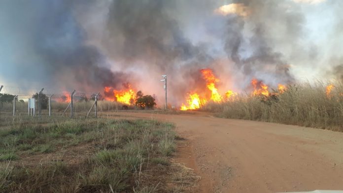 Fogo destrói área de 10 campos de futebol próximo do Aeroporto de Palmas