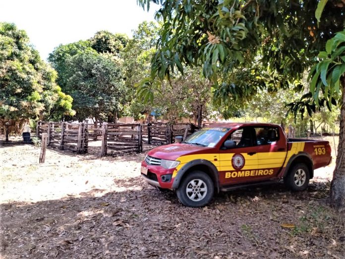 Ação de bombeiros militares ajuda na prevenção de queimadas no Jalapão