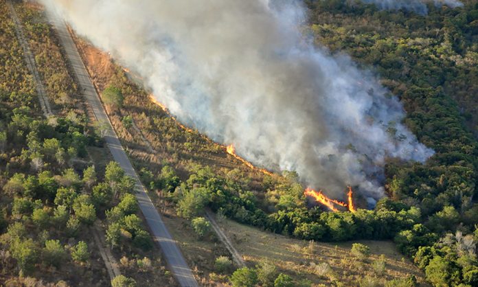 Governador Carlesse solicita ao presidente Bolsonaro auxílio das Forças Armadas para o combate de incêndios florestais no TO