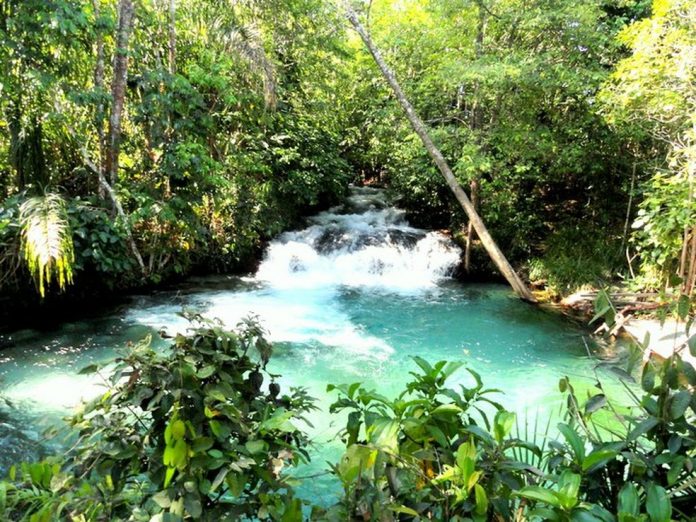Mateiros e Ponte Alta, na região do Jalapão, decidem reabrir para o turismo a partir de outubro