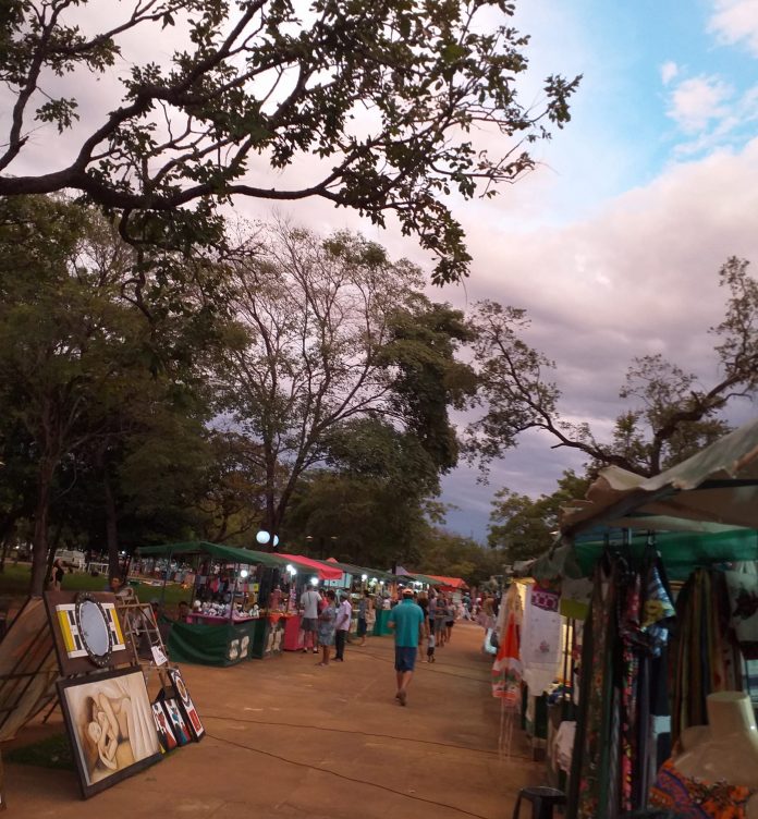 Atividades da Feira do Bosque serão retomadas neste domingo,13, na Feira da 304 Sul