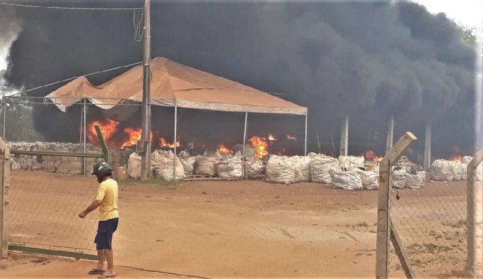 Fogo atinge cooperativa de reciclagem e área agrícola em Gurupi