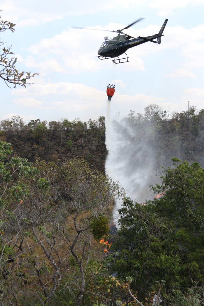 Focos de incêndios florestais aumentam em Palmas e Defesa Civil Estadual destaca que população tem papel central na solução do problema