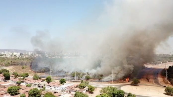 Queimada atinge área de parque na região norte de Palmas e prejudica fornecimento de luz