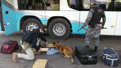 Cão farejador da Polícia Militar localiza cerca de 15 kg de entorpecentes em Operação Conjunta com a PRF em Guaraí