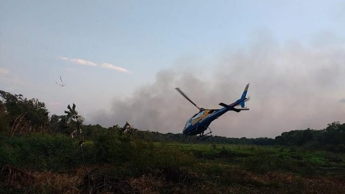 Incêndio volta a avançar no Parque Estadual do Cantão 15 dias após ter sido controlado