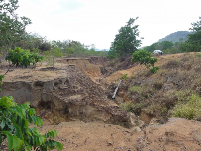Governo do Tocantins promove a recuperação de áreas degradadas com risco à integridade das rodovias