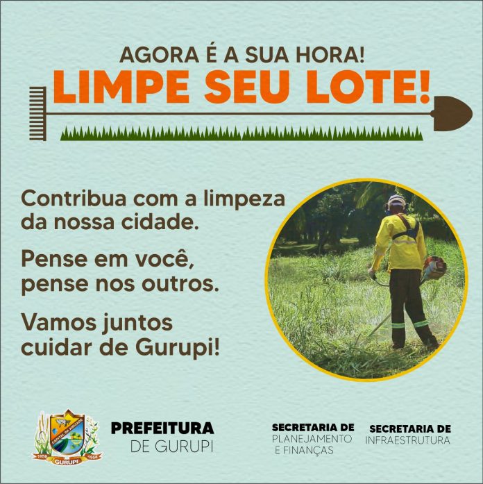 limpe-seu-lote