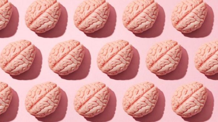 Agência americana altera indicação de tratamento para Alzheimer; entenda o que muda