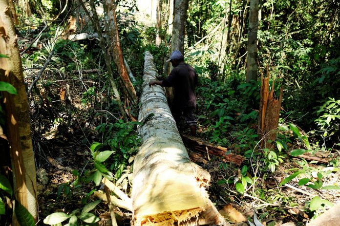 Área sob alerta de desmatamento na Amazônia Legal foi a maior em junho desde 2016, aponta Inpe