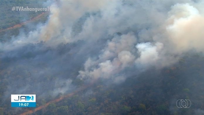 Tocantins termina junho com número de focos de queimadas acima da média para o mês