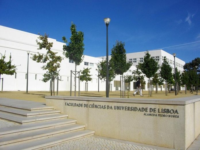 800px-faculdade-de-ciencias-da-universidade-de-lisboa