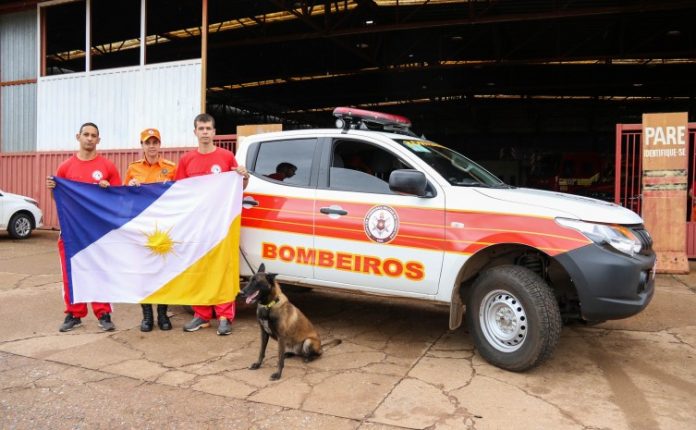 bombeiros
