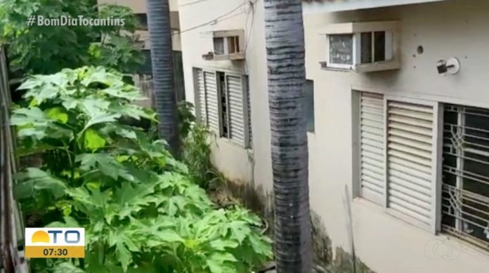 captura-de-tela-2022-02-03-as-11.30.59