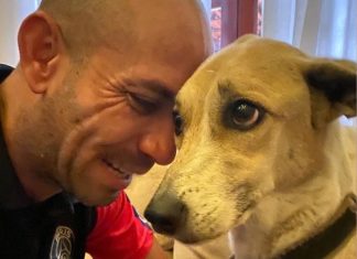 Dono da cachorra Pandora pede indenização de R$ 320 mil à empresa aérea após sumiço do animal por 45 dias