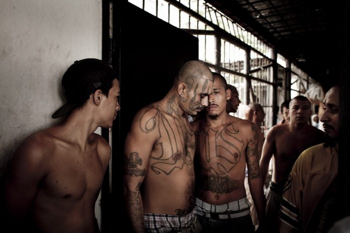 el_salvador_truce_5