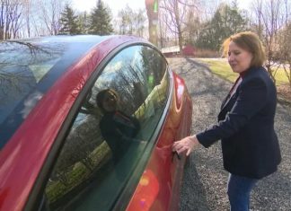 ‘Elon Musk me faz ter vergonha de dirigir o meu Tesla’