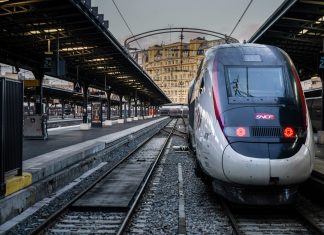 Gato é atropelado de forma deliberada por trem em Paris, e caso gera revolta