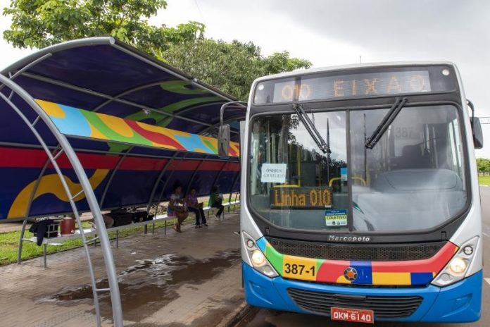 onibus-palmas-3