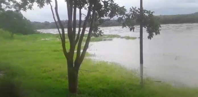 parana-1