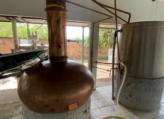 Operação em fábricas clandestinas apreende 11 mil litros de cachaça e destilados; veja imagens