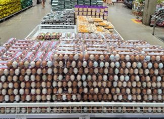 Do campo ao prato: o agro tocantinense garante o alimento de todos os dias