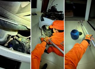 Bombeiros resgatam jiboia escondida em motor de carro estacionado na garagem de casa