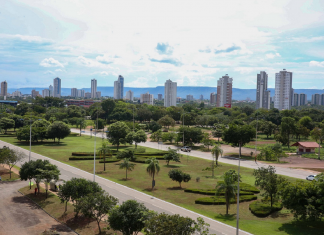 Dia Nacional da Consciência Negra: veja o que abre e fecha durante o feriado em Palmas